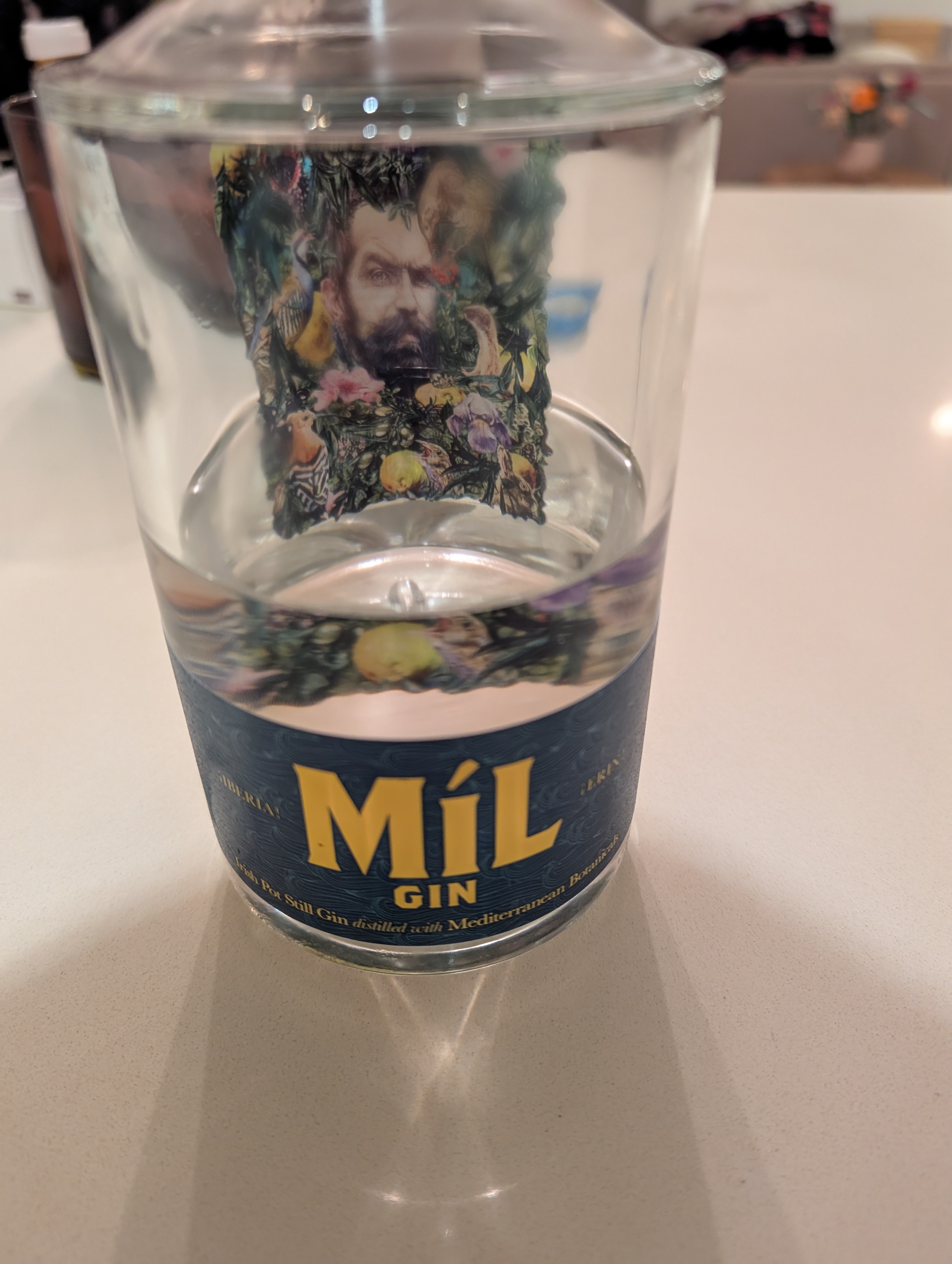Photo of the bottle of gin